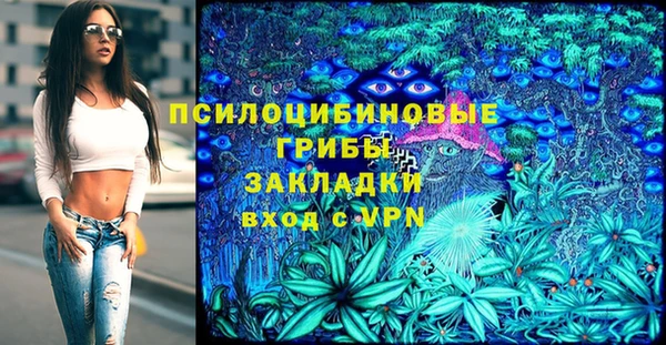гидра Алексеевка