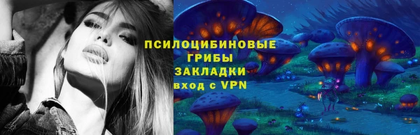 бошки Алзамай